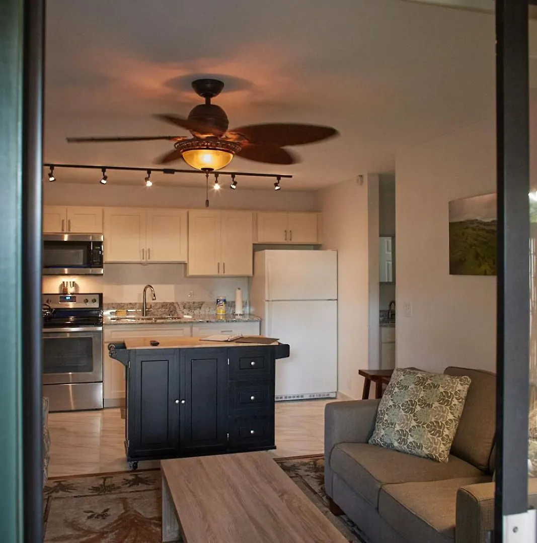 South Maui 1 Bedroom Guest Suite - Kamaole Beach Area Wailea  0*, Wailea (Maui)